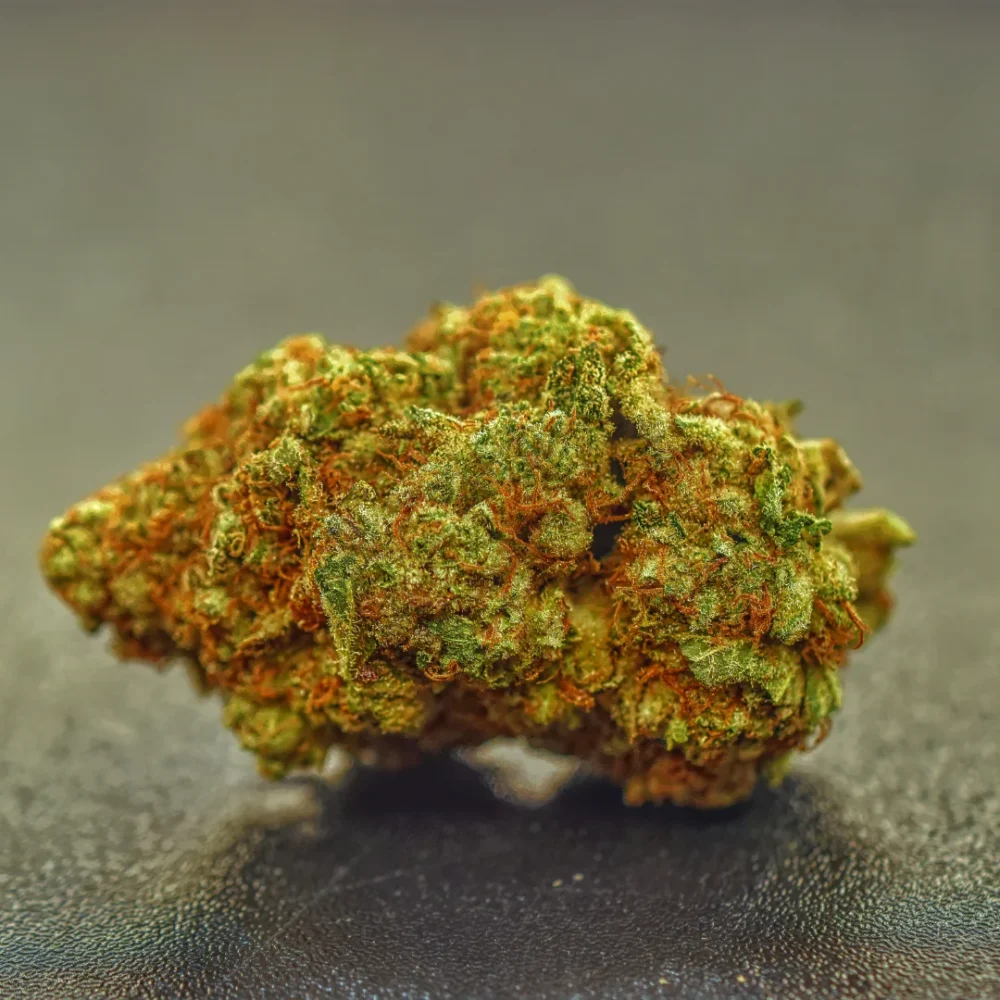 Shop Primary Image Shop Primary Image