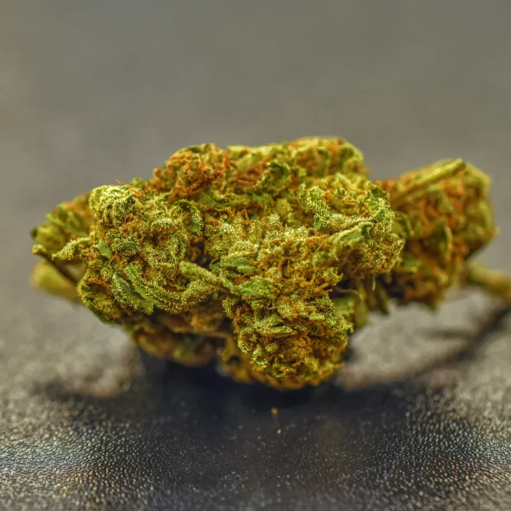 Shop Primary Image Shop Primary Image