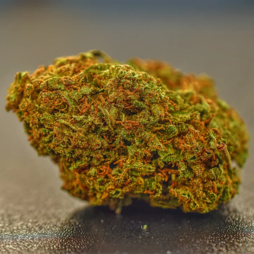 Shop Primary Image Shop Primary Image