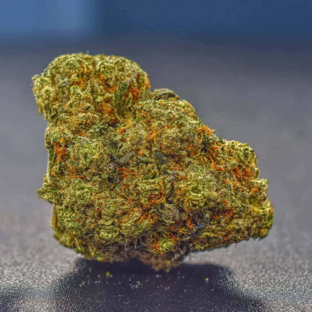 Shop Primary Image Shop Primary Image