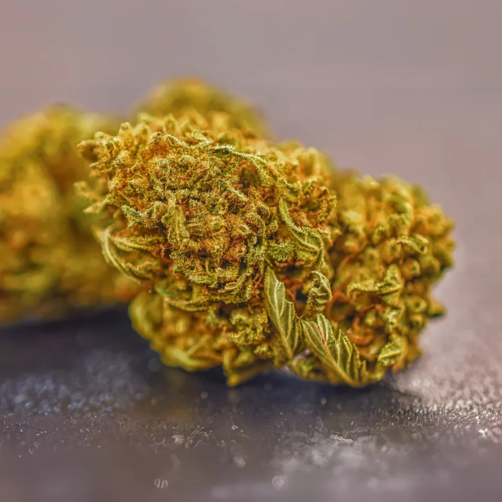 Shop Primary Image Shop Primary Image