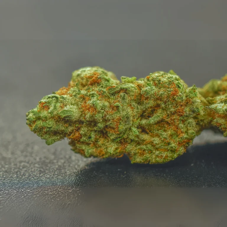 Gallery Thumb Gallery Thumb