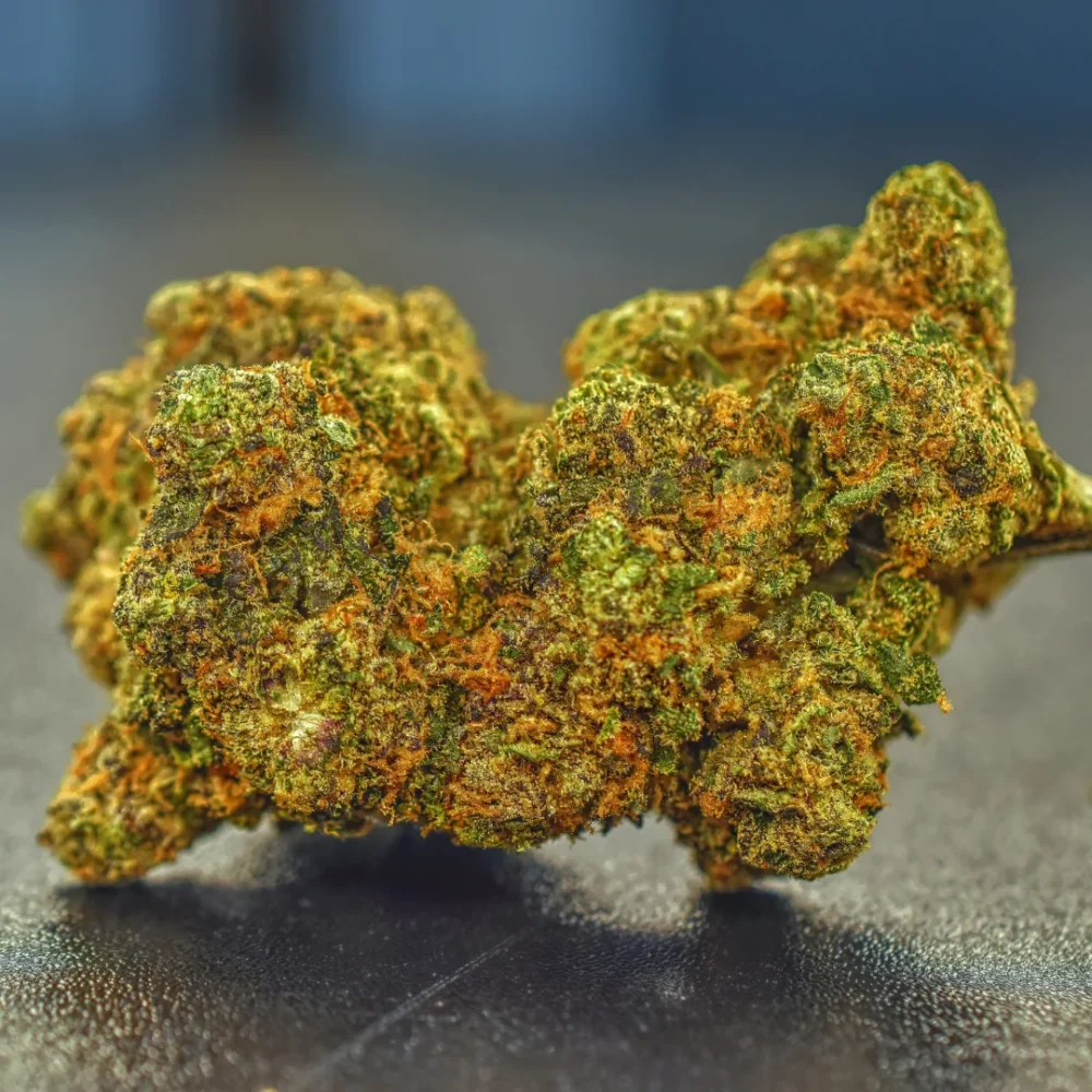 Shop Primary Image Shop Primary Image