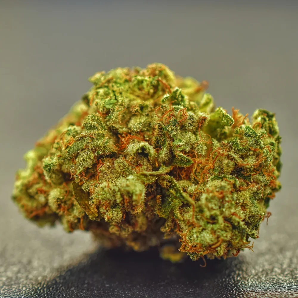 Shop Primary Image Shop Primary Image