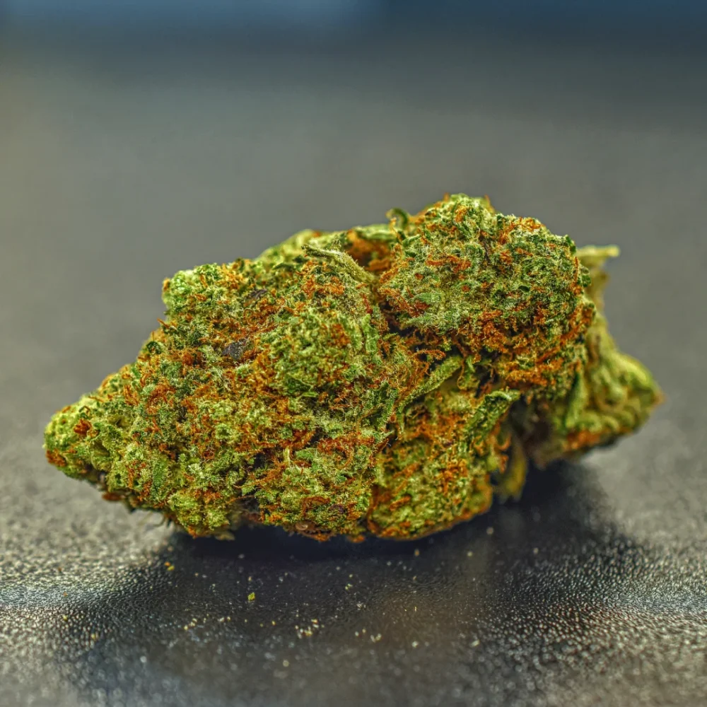 Shop Primary Image Shop Primary Image