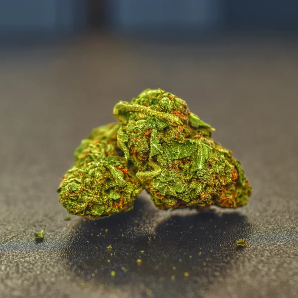 Shop Primary Image Shop Primary Image